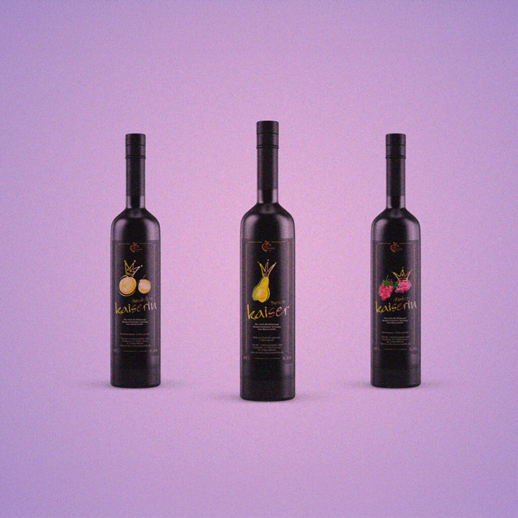 horst projekte website galerie s2