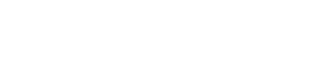 iAccess Logo white.png